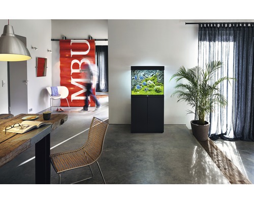 Intérieur avec aquarium sur meuble bas, table à manger et chaises