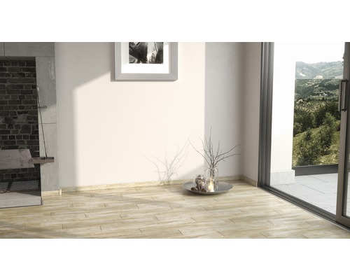 Pièce lumineuse avec plancher en bois, barbecue, décoration et fenêtre