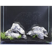 Aquarien-Wasserpflanzenpaket S "Green Mountain" für ca. 55 l Aquarium 10 Töpfe