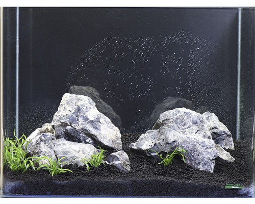 Aquarium aménagé avec pierres, plantes et substrat