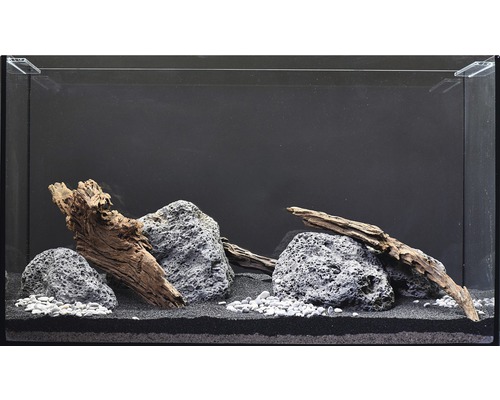 Aquarium mit Lavasteinen und Wurzelholzdekoration