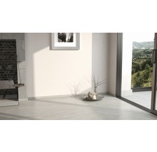 Pièce lumineuse avec cheminée, fenêtre et décoration