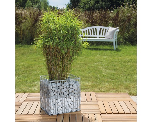 Bambou dans une jardinière en gabion avec des pierres sur des dalles de bois dans le jardin