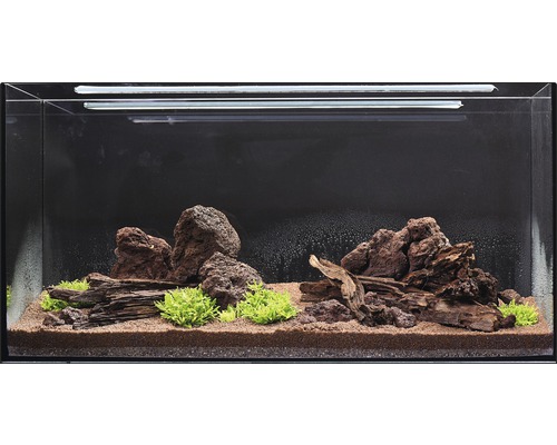 Aquarium aménagé avec pierres, racines, plantes et substrat de fond