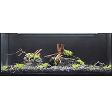 Aquarien-Wasserpflanzenpaket XL "Colors of Nature" für 100 l Aquarium 20 Töpfe