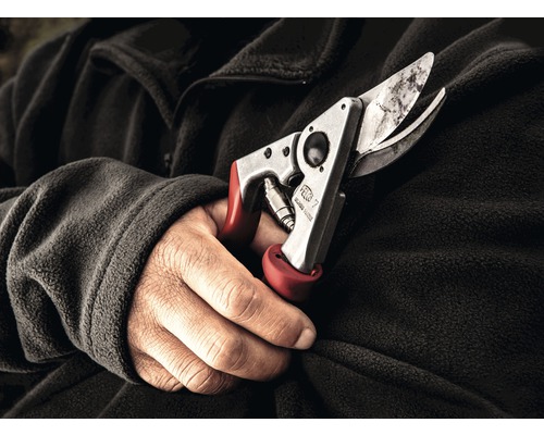 Hand hält eine Gartenschere