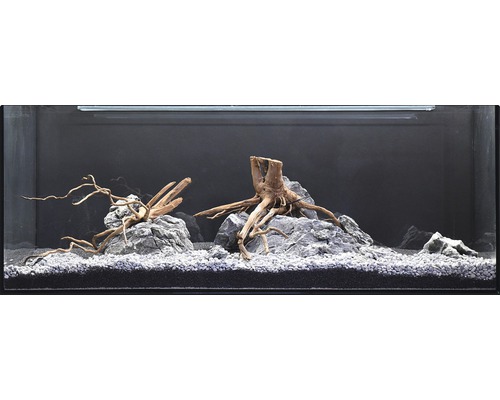 Aquarium décoratif avec pierres, bois flotté et gravier