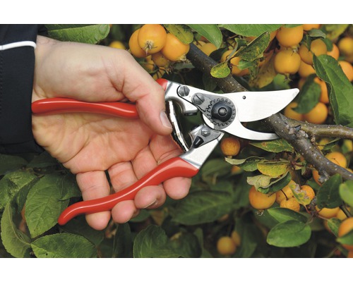 Person schneidet Ast mit einer Gartenschere