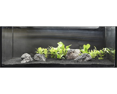 Aquarium aménagé avec plantes, pierres de lave et substrat