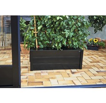 Jardinière noire en métal avec des plants de tomates sur une terrasse.