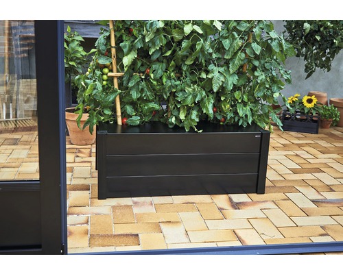 Schwarzer Pflanzkasten aus Metall mit Tomatenpflanzen auf einer Terrasse.