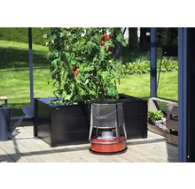 Intérieur de serre avec bac à plantes, plant de tomates et poêle à pétrole