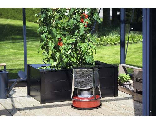 Gewächshausinneneinrichtung mit Pflanzkasten, Tomatenpflanze und Petroleumofen