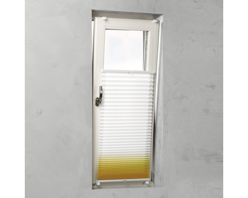 Fenêtre avec store plissé comme protection solaire