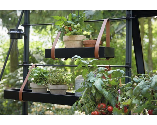 Zwei schwarze Pflanzregale mit Lederriemen und Topfpflanzen in einem Gewächshaus.