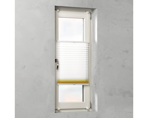 Fenêtre avec store plissé pour protection solaire