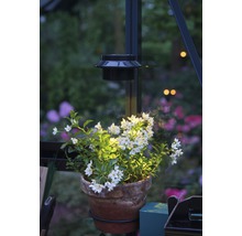 Lampe solaire LED Juliana pour serre