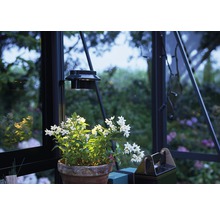 Lampe solaire LED Juliana pour serre