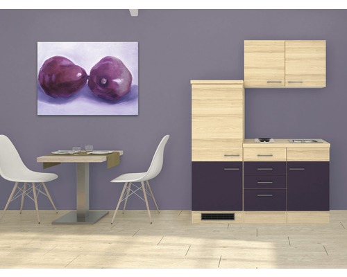 Flex Well Singleküche mit Geräten Focus 160 cm Frontfarbe akazie aubergine matt Korpusfarbe akazie zerlegt