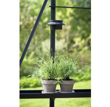 Lampe solaire LED Juliana pour serre