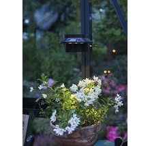 Lampe solaire LED Juliana pour serre