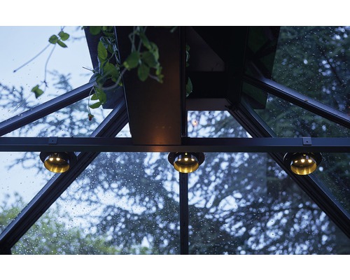 Innenansicht eines Gewächshauses mit Pflanzen und Beleuchtung