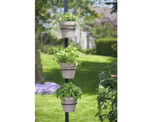 Colonne d''herbes aromatiques avec trois pots de fleurs dans le jardin