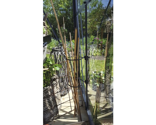 Scène de serre avec des bâtons de bambou et des paniers en osier