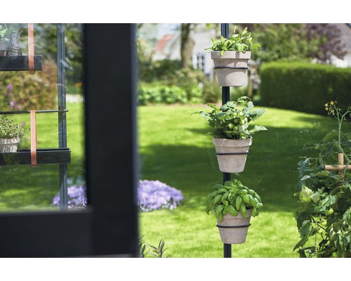 Plantes en pot sur un support à plantes dans le jardin