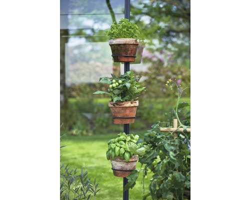 Jardin d''herbes aromatiques vertical avec persil, tomates et basilic en pots de terre cuite