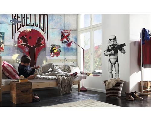 Dekoriertes Jugendzimmer mit Star Wars Wandbild, Bett und Leseecke