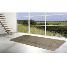Innenraum mit Teppich, Treppe und Fenster mit Blick auf die Landschaft