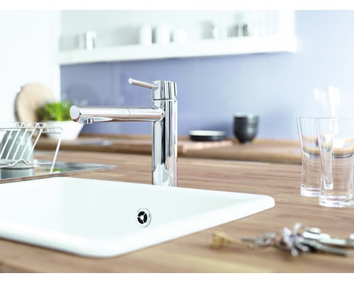 Küchenszene mit Spültisch, Armatur und Holzarbeitsplatte