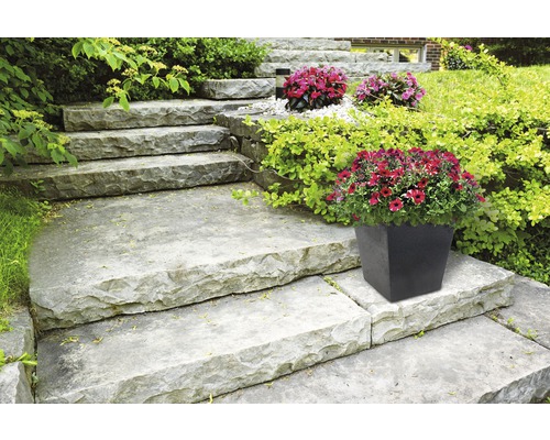 Aussentreppe mit Blumen in einem Topf