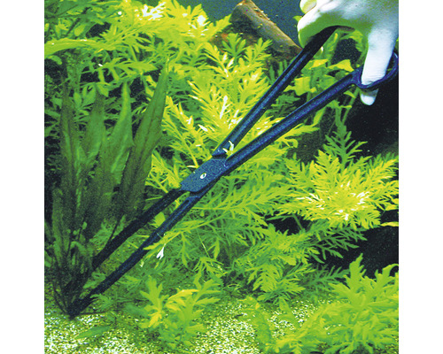 Aquariumzange zum Pflanzen von Wasserpflanzen