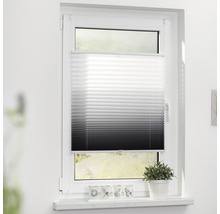 Plissee am Fenster zur Lichtregulierung und als Sichtschutz