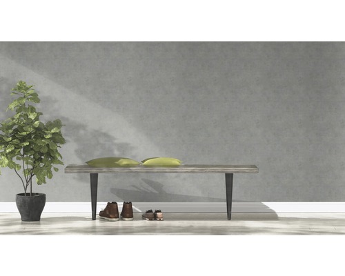 Scène avec banc, deux coussins, plante d''intérieur et chaussures