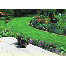 Garten mit Rasenfläche, Blumenbeeten und bepflanzten Blumentöpfen