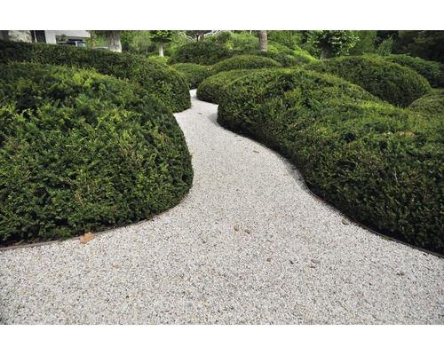 Allée de jardin avec gravier et haies