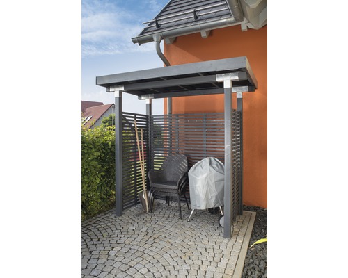 Abri de jardin avec outils de jardinage et barbecue