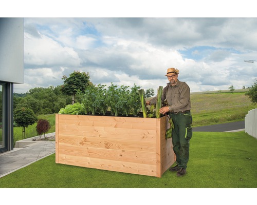 Hochbeet aus Holz mit Gärtner und verschiedenen Gemüsesorten im Garten
