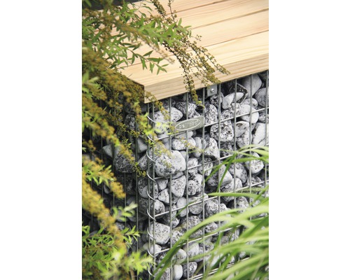 Gabionen Bank bellissa 55 x 55 x 54 cm mit Sitzauflage Gabione gefüllt mit Steinen und Holzabdeckung