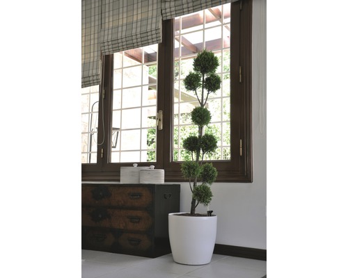 Dekorativer Formschnittbaum im Topf vor einem Fenster und einer Kommode