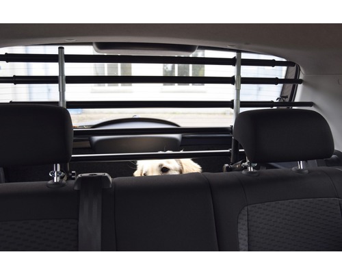 Hundegitter im Auto mit Hund im Kofferraum