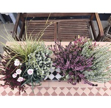 Jardinière avec bruyère et graminées ornementales sur une terrasse