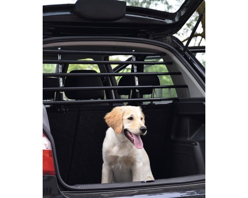 Hund im Kofferraum eines Autos mit eingebautem Hundegitter