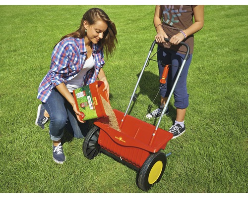 Deux femmes utilisent un épandeur pour semer du gazon sur une pelouse.