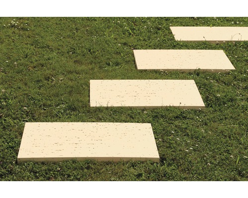 Dalles rectangulaires en pierre formant un chemin de jardin dans la pelouse