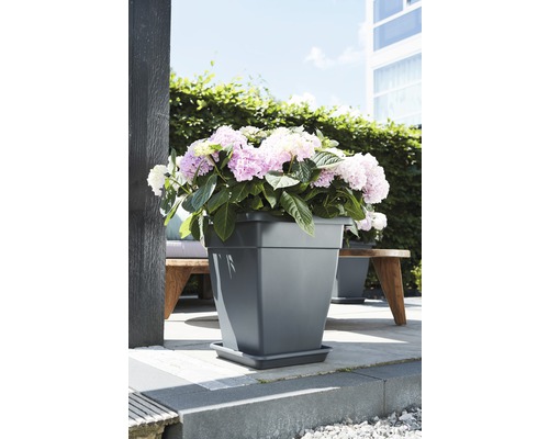 Pot de fleurs carré avec hortensias sur une terrasse