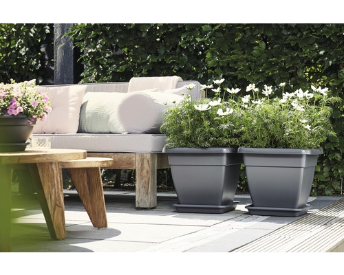 Deux pots de fleurs carrés en plastique avec des fleurs sur une terrasse